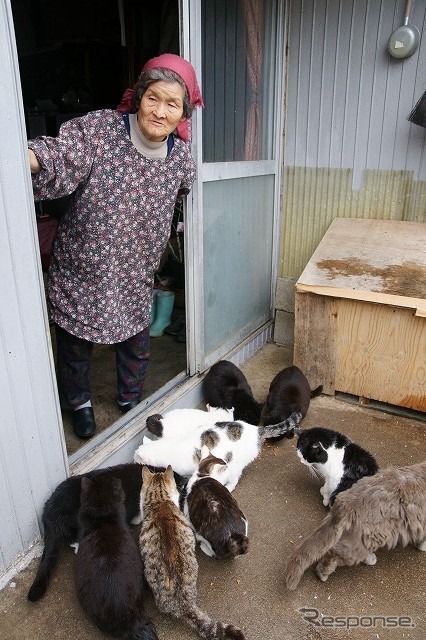 東日本大震災 田代島の住人「生まれて初めての経験」