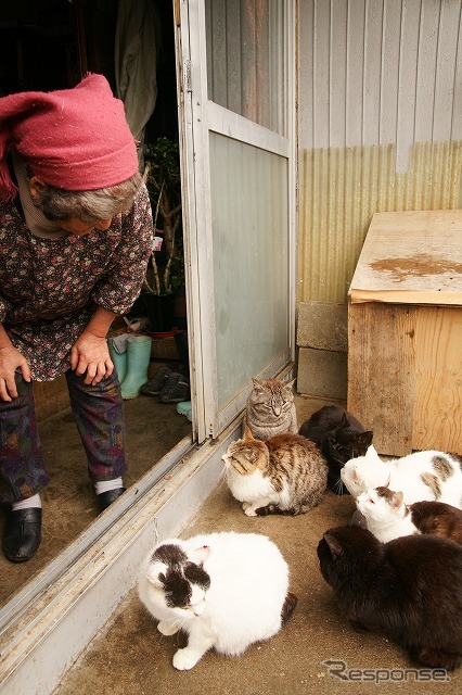 東日本大震災 田代島の住人「生まれて初めての経験」
