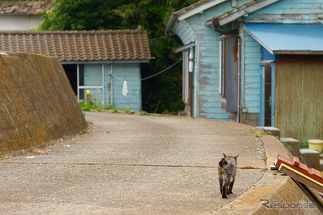 東日本大震災 田代島 震災前(2010年9月)