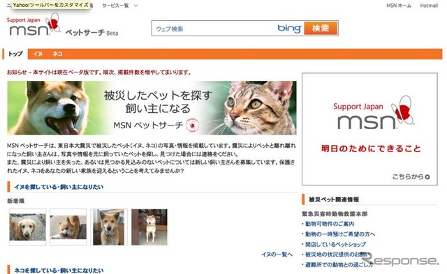 MSNペットサーチ