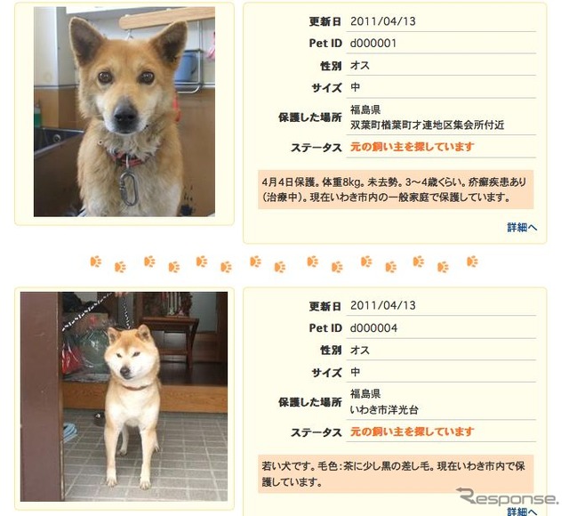 MSNペットサーチ