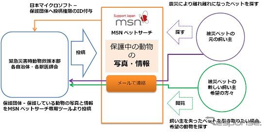 MSNペットサーチ