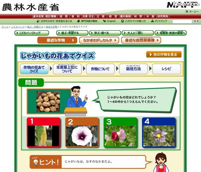 じゃがいもの花はどれ？…農水省「こどもページ」がリニューアル 作物の花あてクイズ