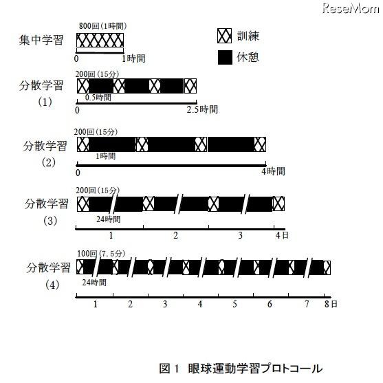 「集中学習より休憩を取りながらの学習が効果的」実験結果を発表 眼球運動学習プロトコール