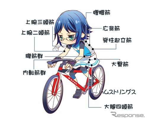 図説 自転車少女 - スポーツバイクはじめました -