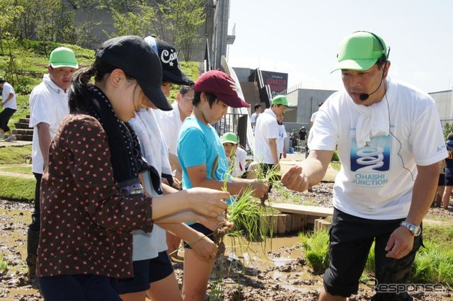 首都高速道路、大橋ジャンクションの換気所屋上に現れた水田で小学生が田植えを体験