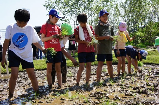 首都高速道路、大橋ジャンクションの換気所屋上に現れた水田で小学生が田植えを体験