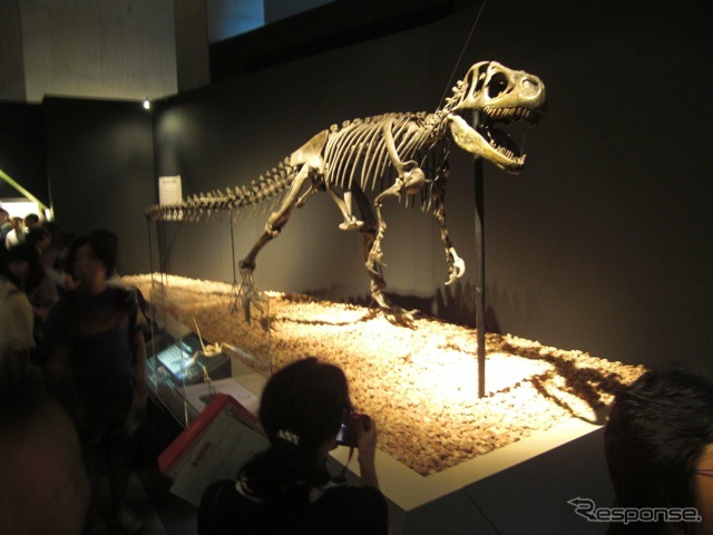 恐竜博2011、国立科学博物館（東京・上野公園）