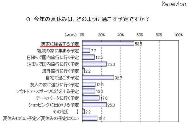 今年の夏休みは、どのように過ごす予定ですか