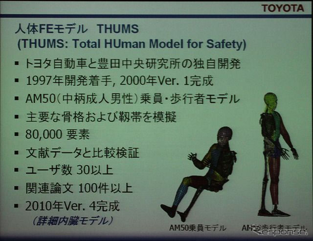1997年から開発が始まったTHUMS。現在はVer.4まで進化しており、内蔵のシミュレーションも可能