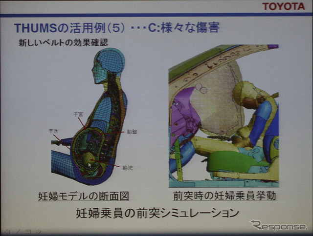 妊婦・胎児への影響もシミュレート可能