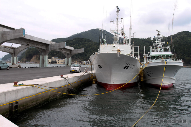 7月より業務を再開した女川魚市場。地盤沈下した岸壁をかさ上げしたために、建物が地下に埋もれる形になった