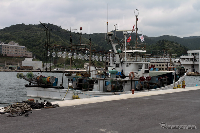 7月より業務を再開した女川魚市場。地盤沈下した岸壁をかさ上げしたために、建物が地下に埋もれる形になった