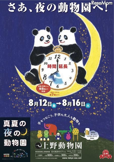 真夏の夜の動物園