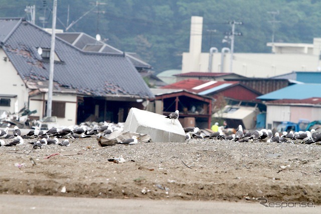 東日本大震災発生から3か月。宮城県石巻市