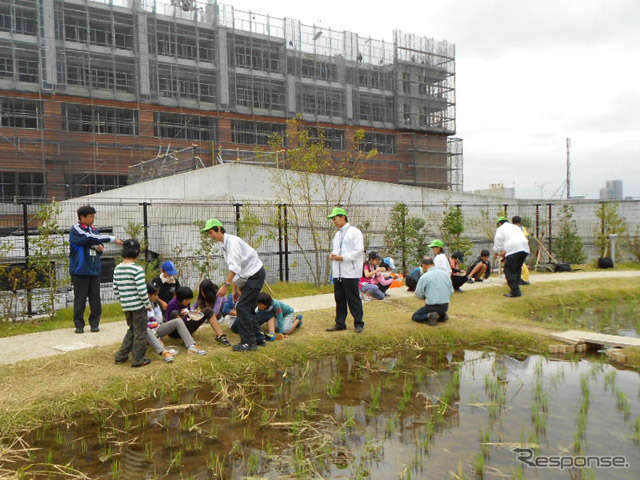 おおはし里の杜でおこなわれた脱穀体験イベント（20日）