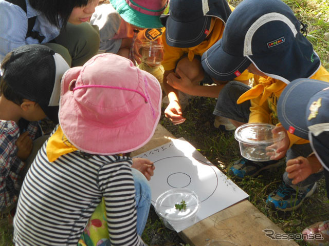 見沼たんぼ首都高ビオトープでの自然体験イベント（18日）