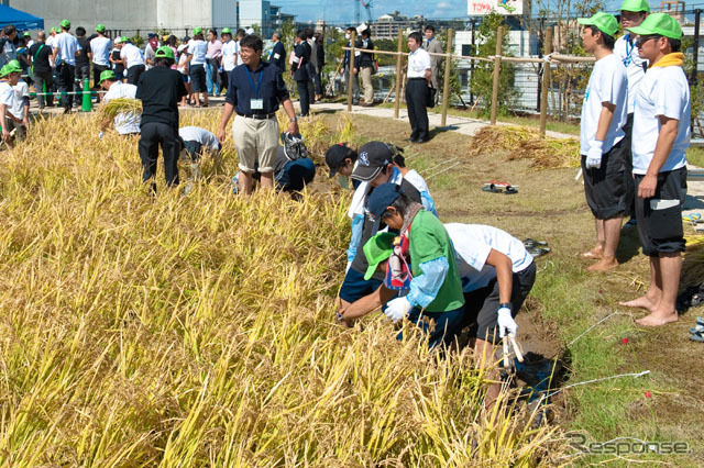 稲刈りのようす(6日)
