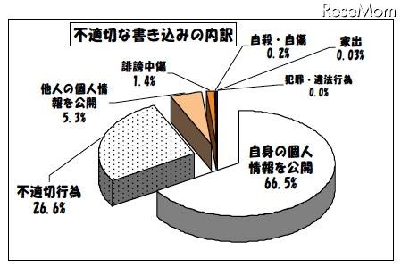 不適切な書き込みの内訳