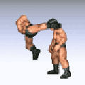 ファイヤープロレスリング in Mobage