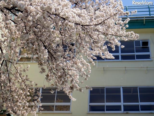 大手塾に聞く2012年中学受験