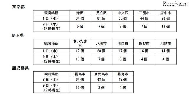 花粉情報