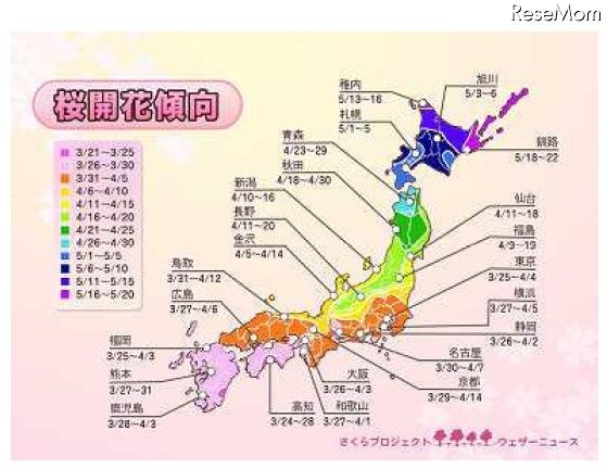 桜開花傾向