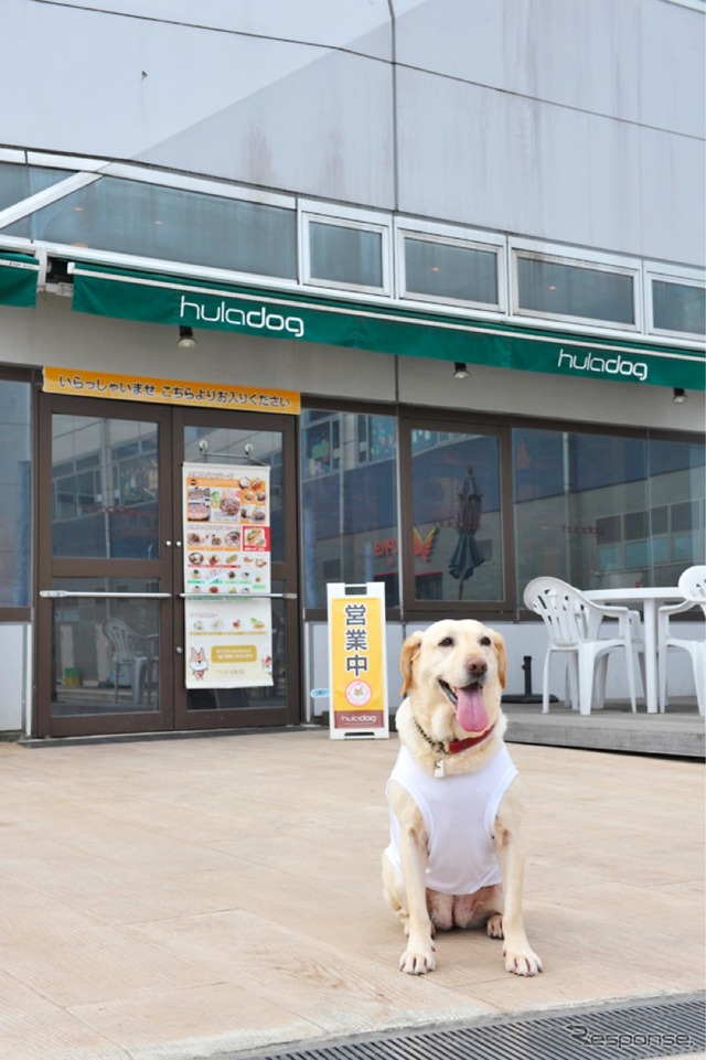 足柄SA(下り)ドッグカフェhuladog