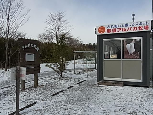 もふもふアルパカを体感!牧場物語×アルパカ牧場コラボツアーレポート(1)