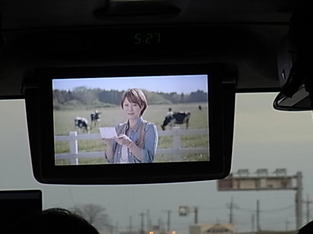もふもふアルパカを体感!牧場物語×アルパカ牧場コラボツアーレポート(1)