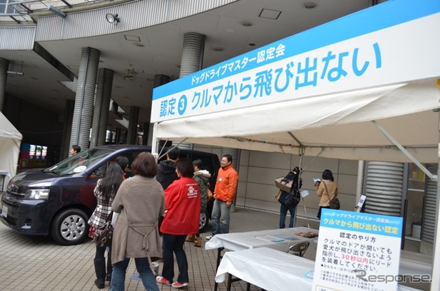 「TOYOTA&いぬのきもち ドッグドライブフェスタ」