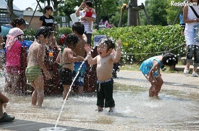 霧の遊び場