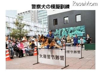 警察犬の模擬訓練(昨年の様子)