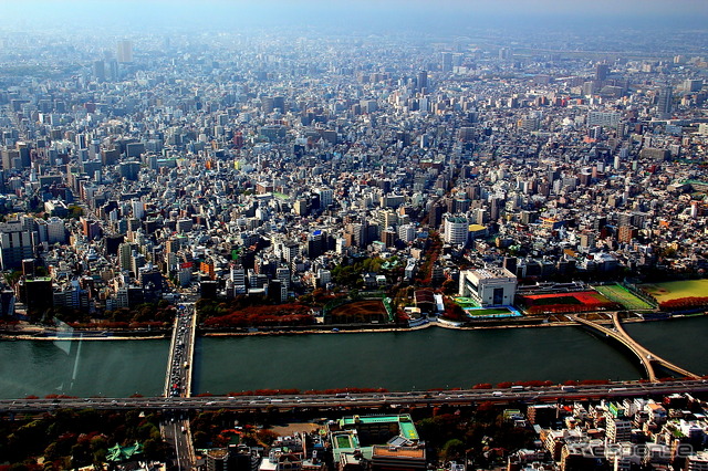 北東には首都高6号向島線、区立墨田公園、言問橋、文京区・北区・豊島区のエリアが