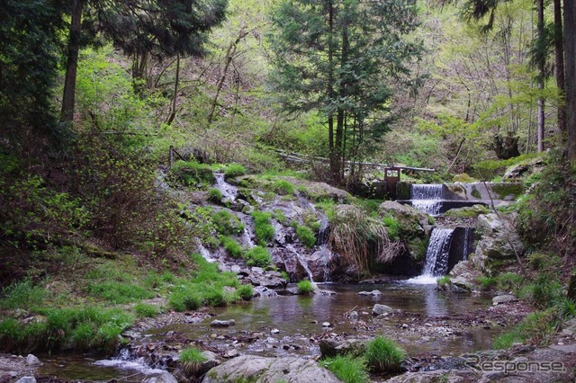 払沢の滝(東京都檜原村)