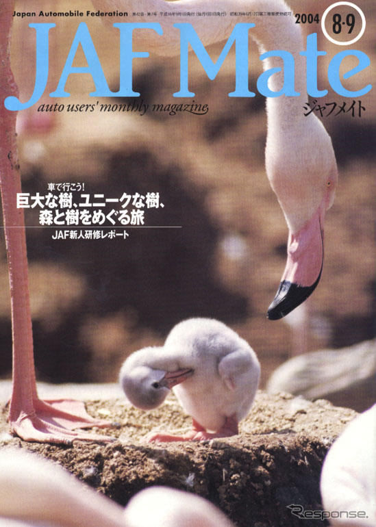 巨大なる樹の、神々しさを前に立ちすくむ