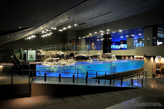 初めて公開されたすみだ水族館の館内