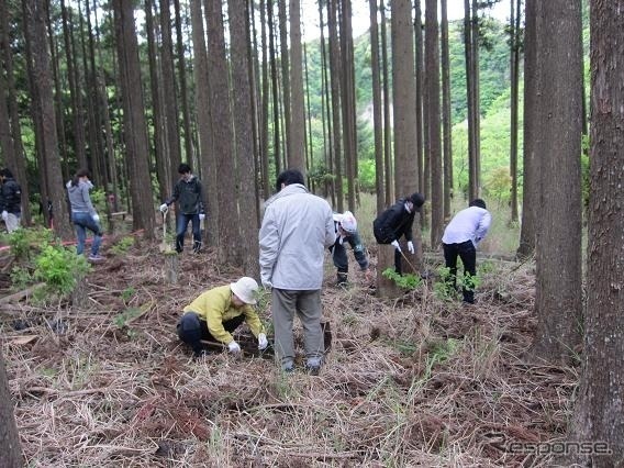 カレコ・カーシェアリングクラブ 植樹風景