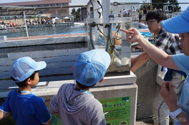 「Think Blue. 生き物体験ツアー」の様子。