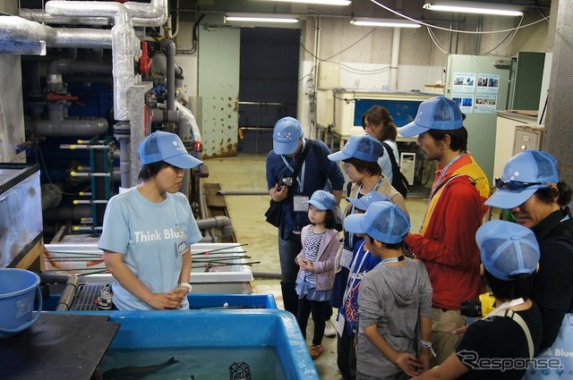 「Think Blue. 生き物体験ツアー」の様子。