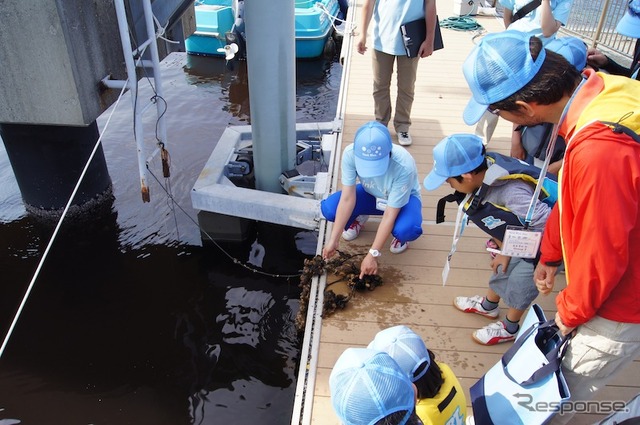 「Think Blue. 生き物体験ツアー」の様子。