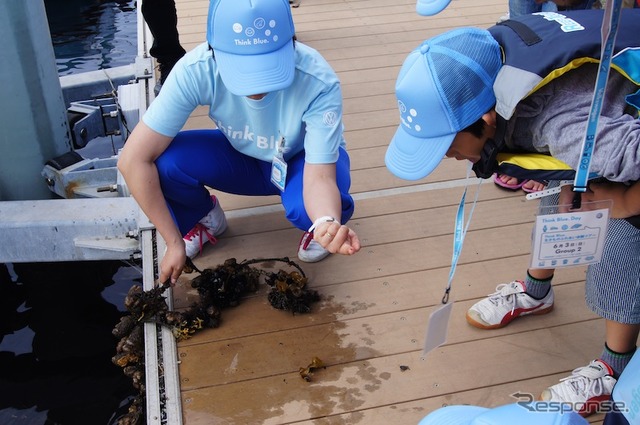 「Think Blue. 生き物体験ツアー」の様子。