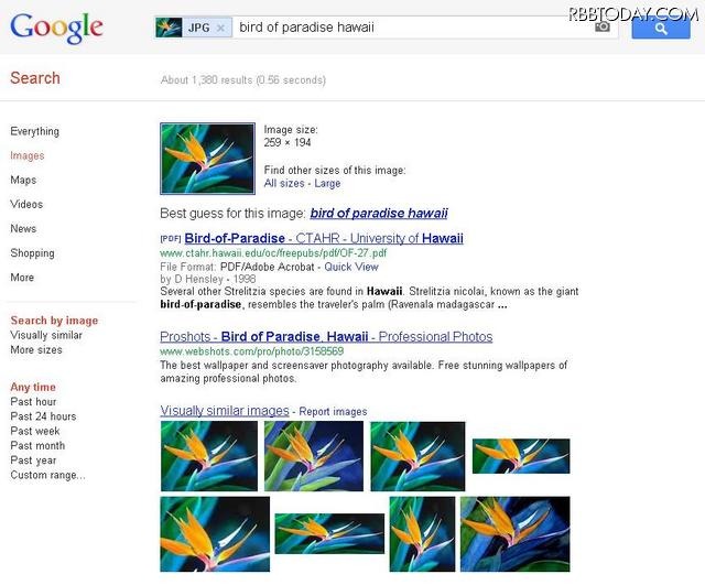 新しい画像検索。画像が「bird of paradise」(極楽鳥花)と認識されている。