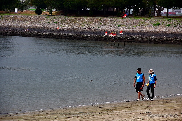 お台場海浜公園で行われた大規模清掃活動のようす