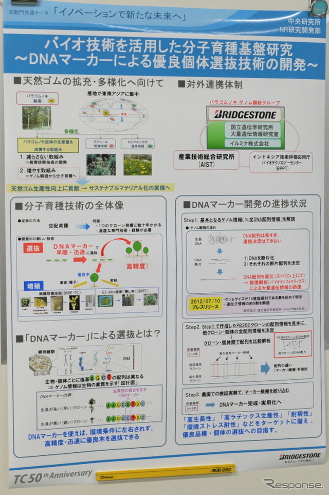 研究の概要
