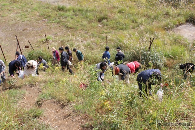 足尾銅山で植樹