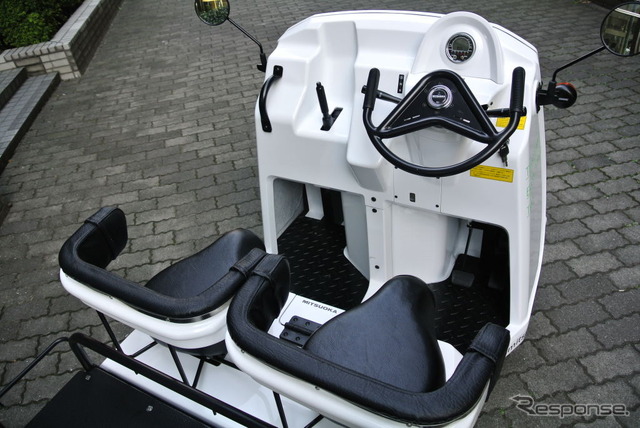 光岡自動車 雷駆-T3