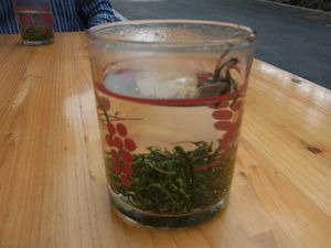 杭州　日本茶の原点を見に行く　（8）　杭州　径山茶