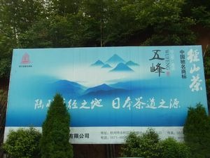 杭州　日本茶の原点を見に行く　（6）　杭州　径山寺に辿り着く