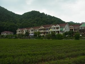 杭州　日本茶の原点を見に行く　（4）　杭州　梅家烏鎮　再び